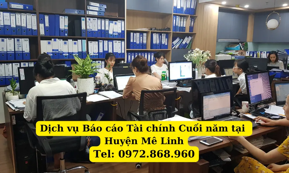 bao-cao-tai-chinh-cuoi-nam-uy-tin-tai-me-linh