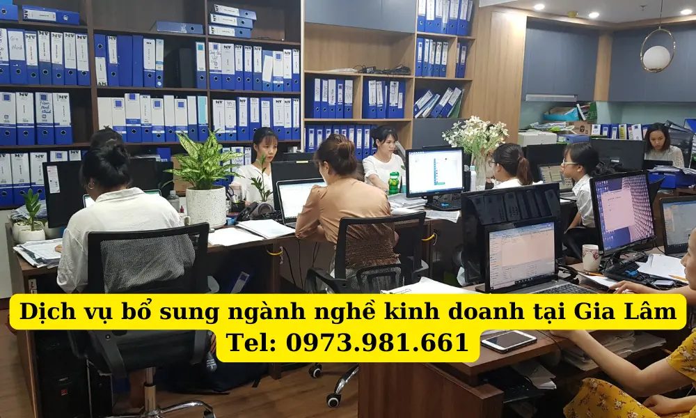 dich-vu-bo-sung-nganh-nghe-kinh-doanh-tai-gia-lam