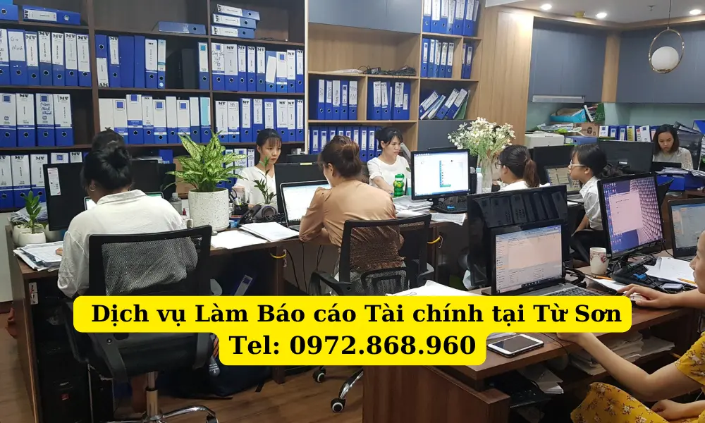 dich-vu-lam-bao-cao-tai-chinh-tai-tu-son