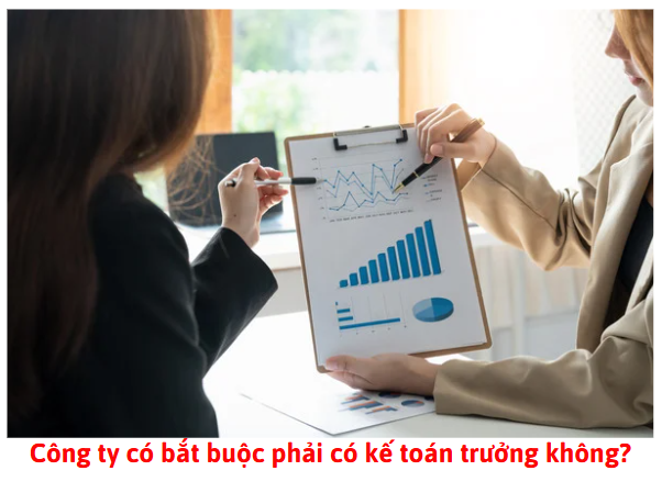 cong-ty-co-bat-buoc-phai-co-ke-toan-truong-khong