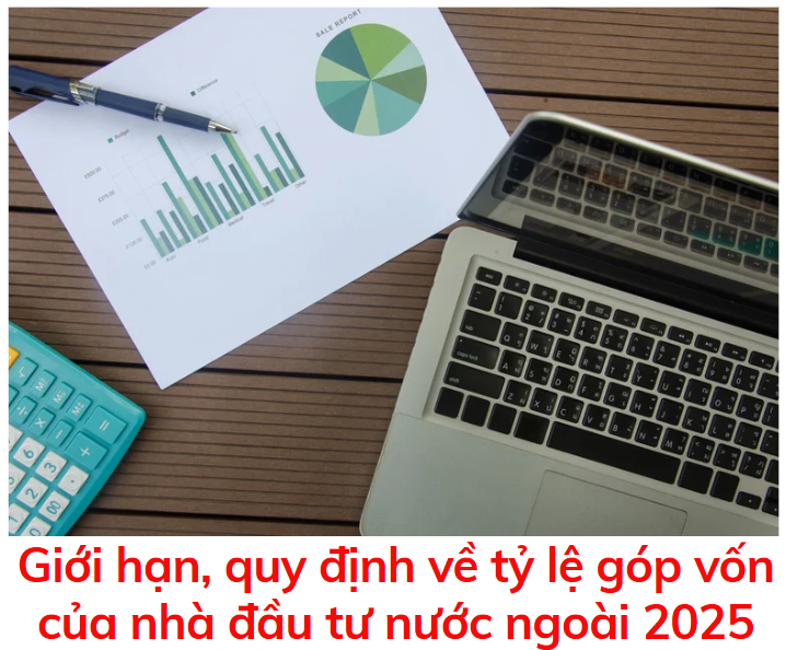 gioi-han-quy-dinh-ve-ty-le-gop-von-cua-nha-dau-tu-nuoc-ngoai-2025