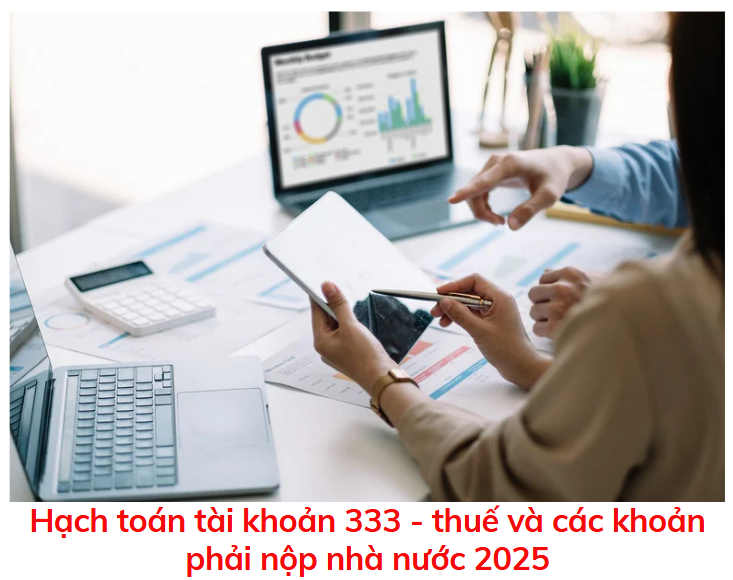 hach-toan-tai-khoan-333-thue-va-cac-khoan-phai-nop-nha-nuoc-2025