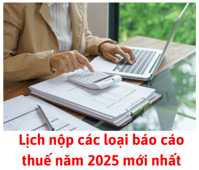 lich-nop-cac-loai-bao-cao-thue-nam-2025-moi-nhat