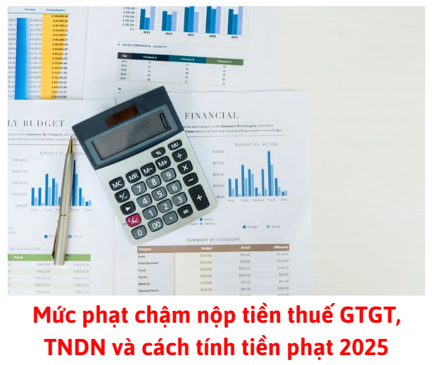 muc-phat-cham-nop-tien-thue-gtgt-tndn-va-cach-tinh-tien-phat-2025