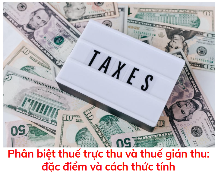 phan-biet-thue-truc-thu-va-thue-gian-thu-dac-diem-va-cach-thuc-tinh