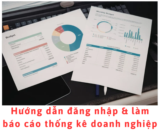 huong-dan-dang-nhap-lam-bao-cao-thong-ke-doanh-nghiep