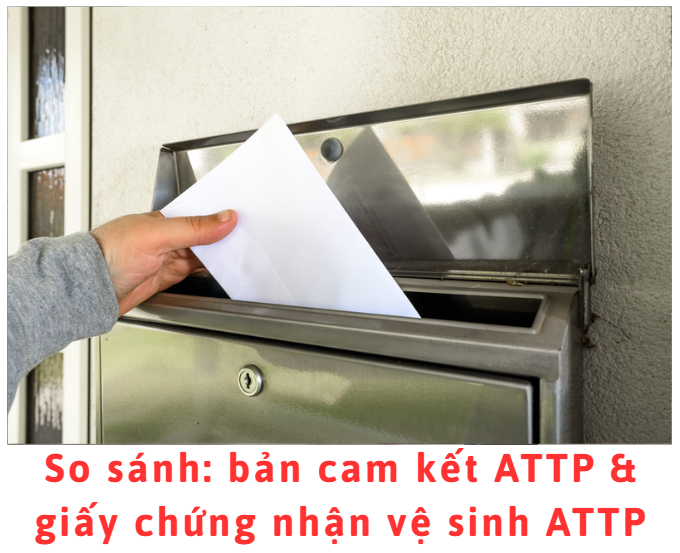 so-sanh-ban-cam-ket-attp-giay-chung-nhan-ve-sinh-attp
